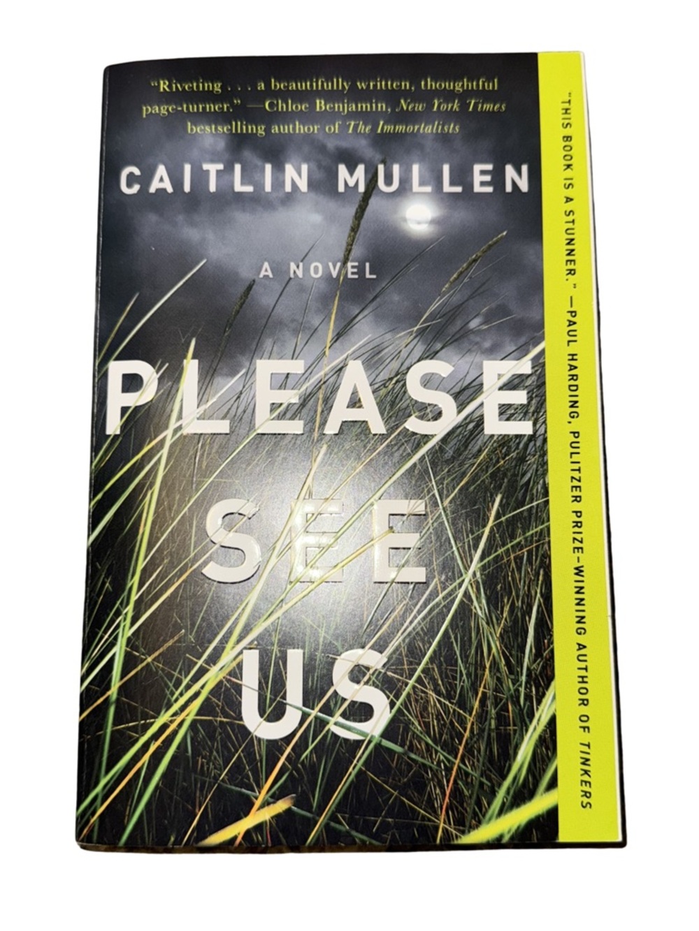Please See Us by Caitlin Mullen Mystery Thriller Novel